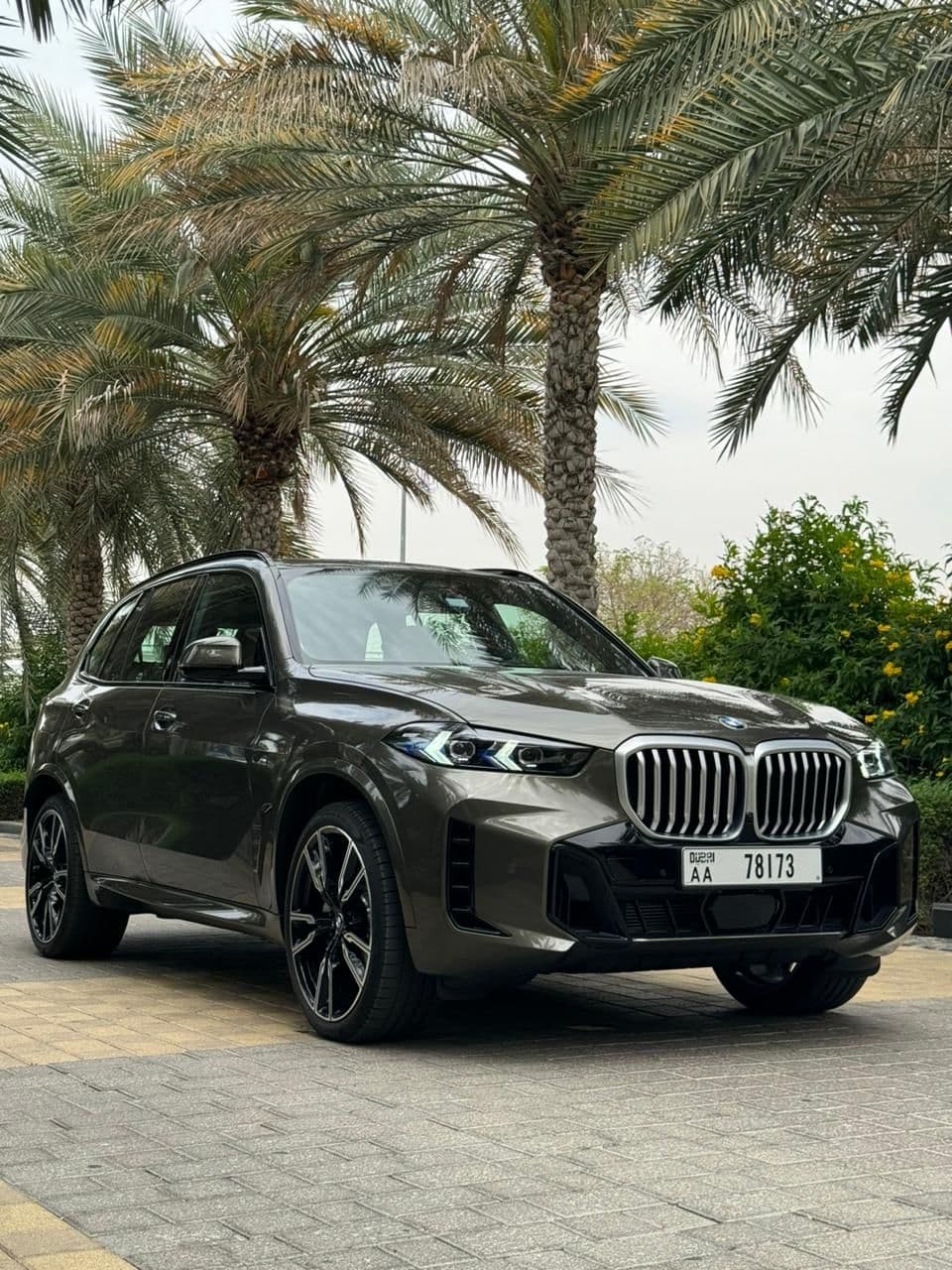 BMW X5 2025